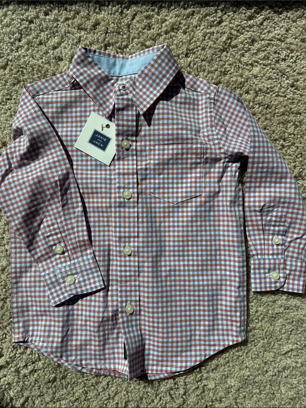 Janie and Jack Red and Blue Gingham Button-Down Shirt